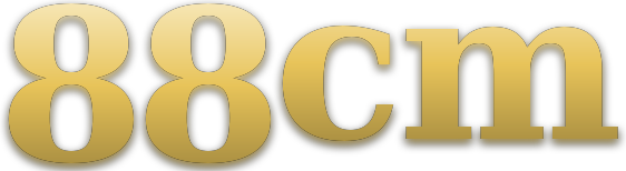 88cm logo